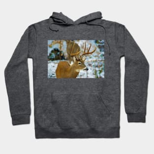 Male Deer in Snow Hoodie